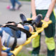 child accident victim needing to file a child injury claim in Florida